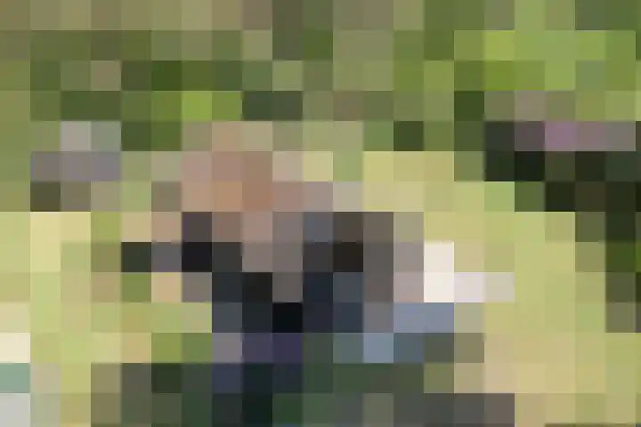 Wolfskuil 42 Ommen thumbnail 5