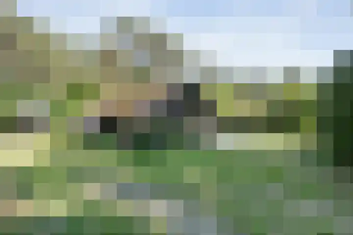 Wolfskuil 42 Ommen thumbnail 6