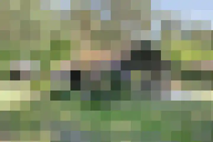 Wolfskuil 42 Ommen thumbnail 7