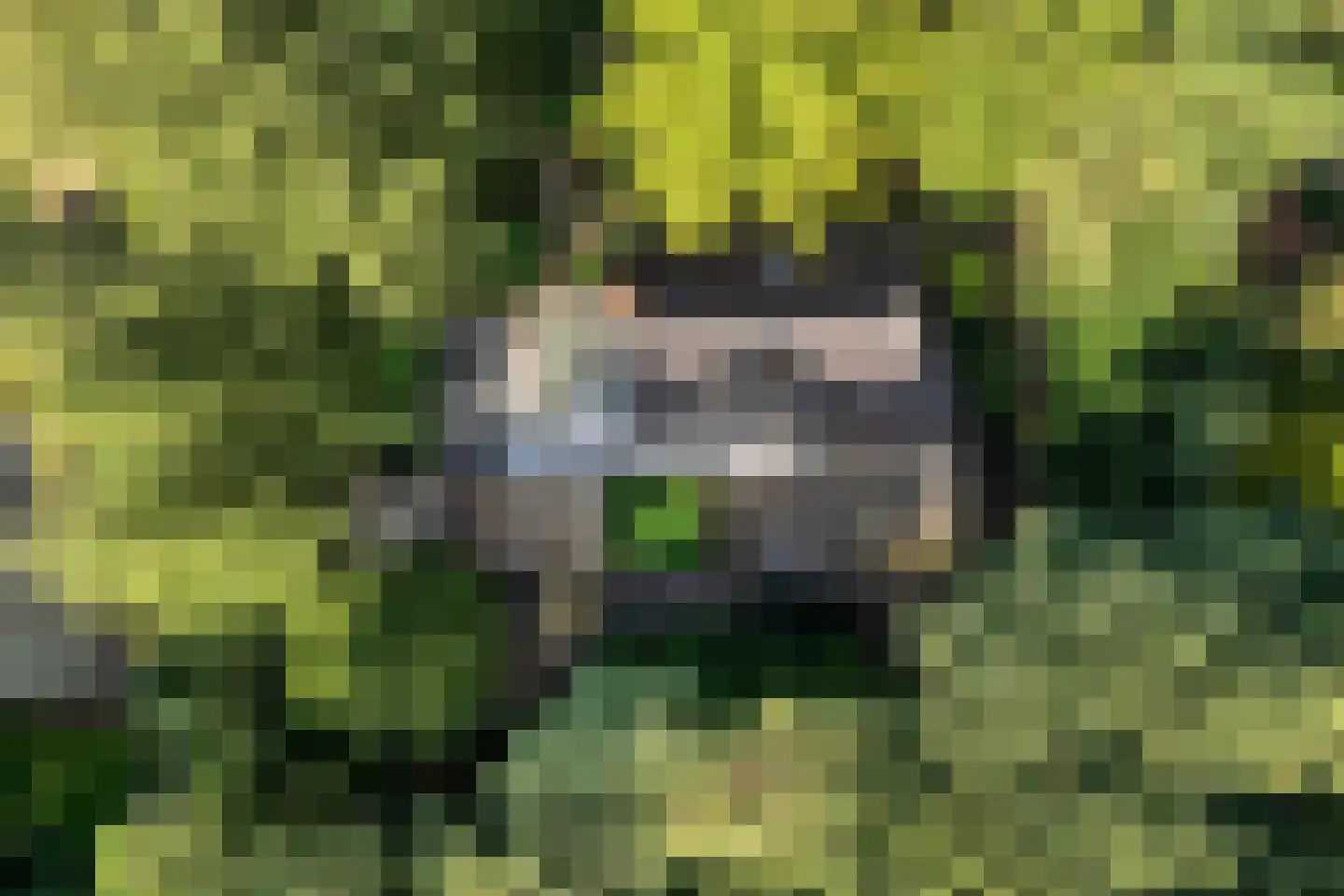 Wolfskuillaan 19 Ommen thumbnail 10