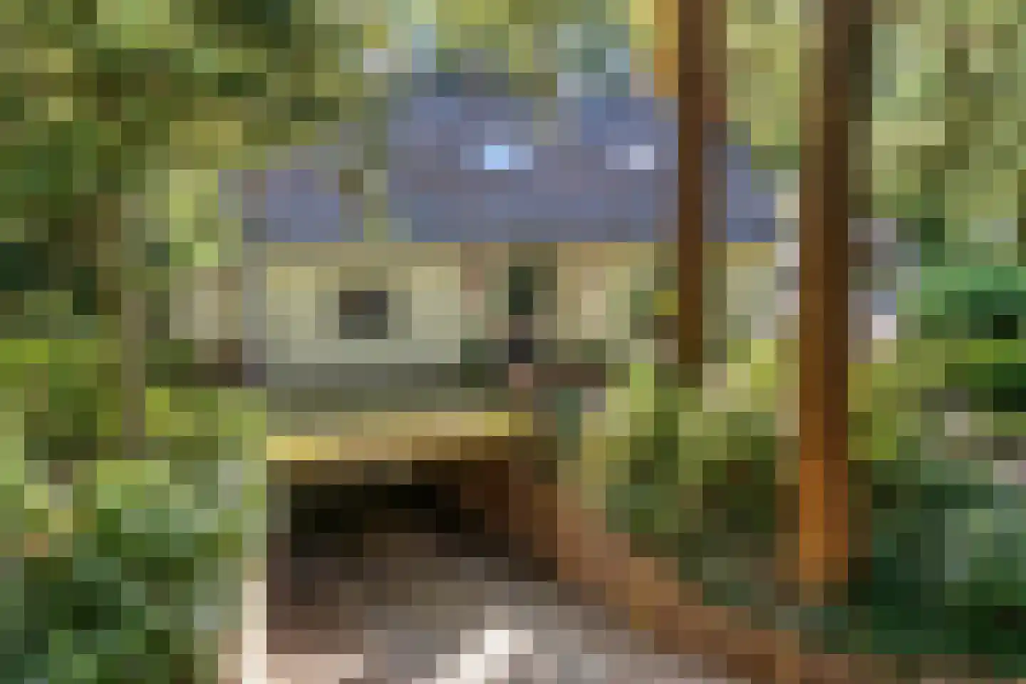 Wolfskuillaan 19 Ommen thumbnail 12