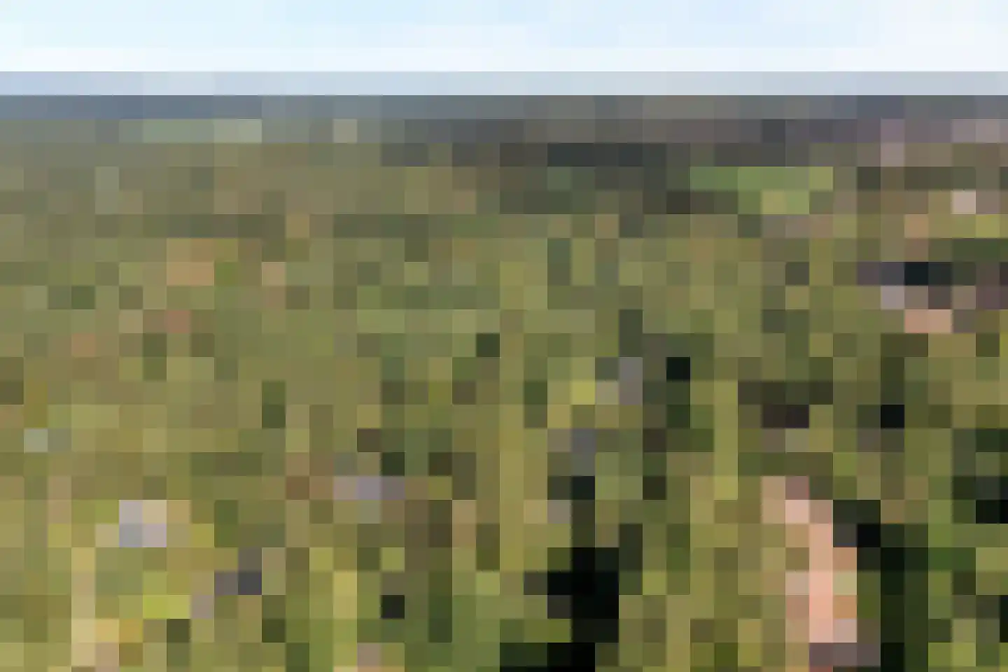 Wolfskuillaan 19 Ommen thumbnail 13