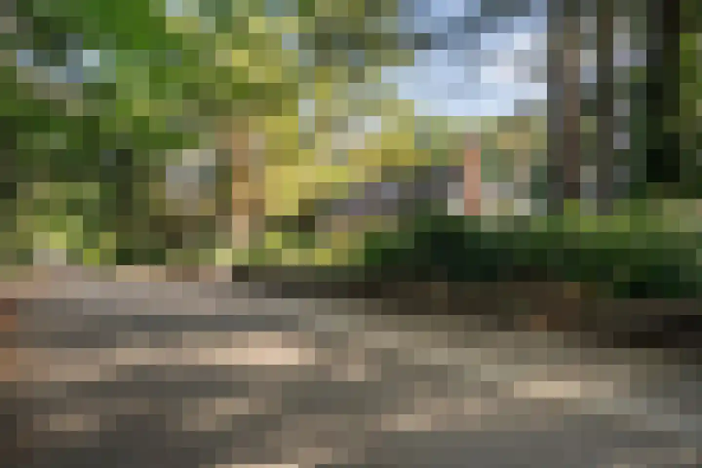 Wolfskuillaan 19 Ommen thumbnail 16