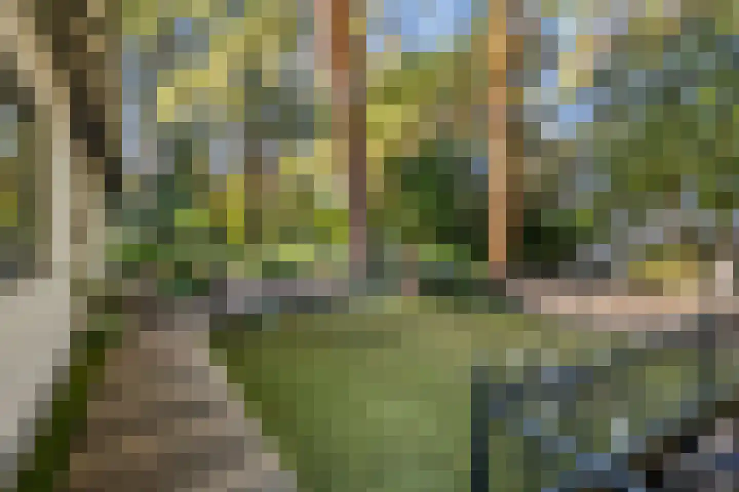 Wolfskuillaan 19 Ommen thumbnail 20
