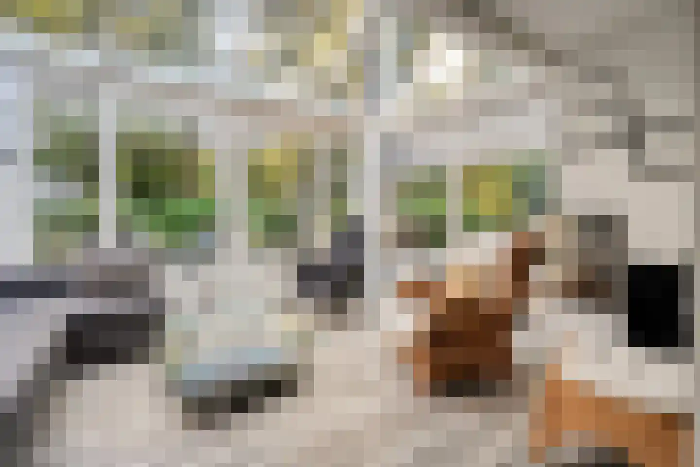 Wolfskuillaan 19 Ommen thumbnail 31
