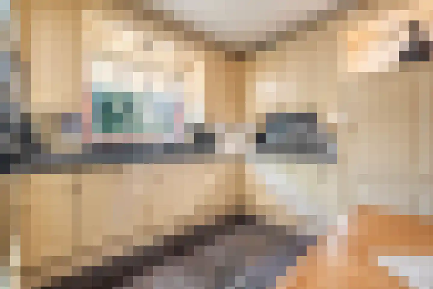 Wolfskuillaan 19 Ommen thumbnail 35