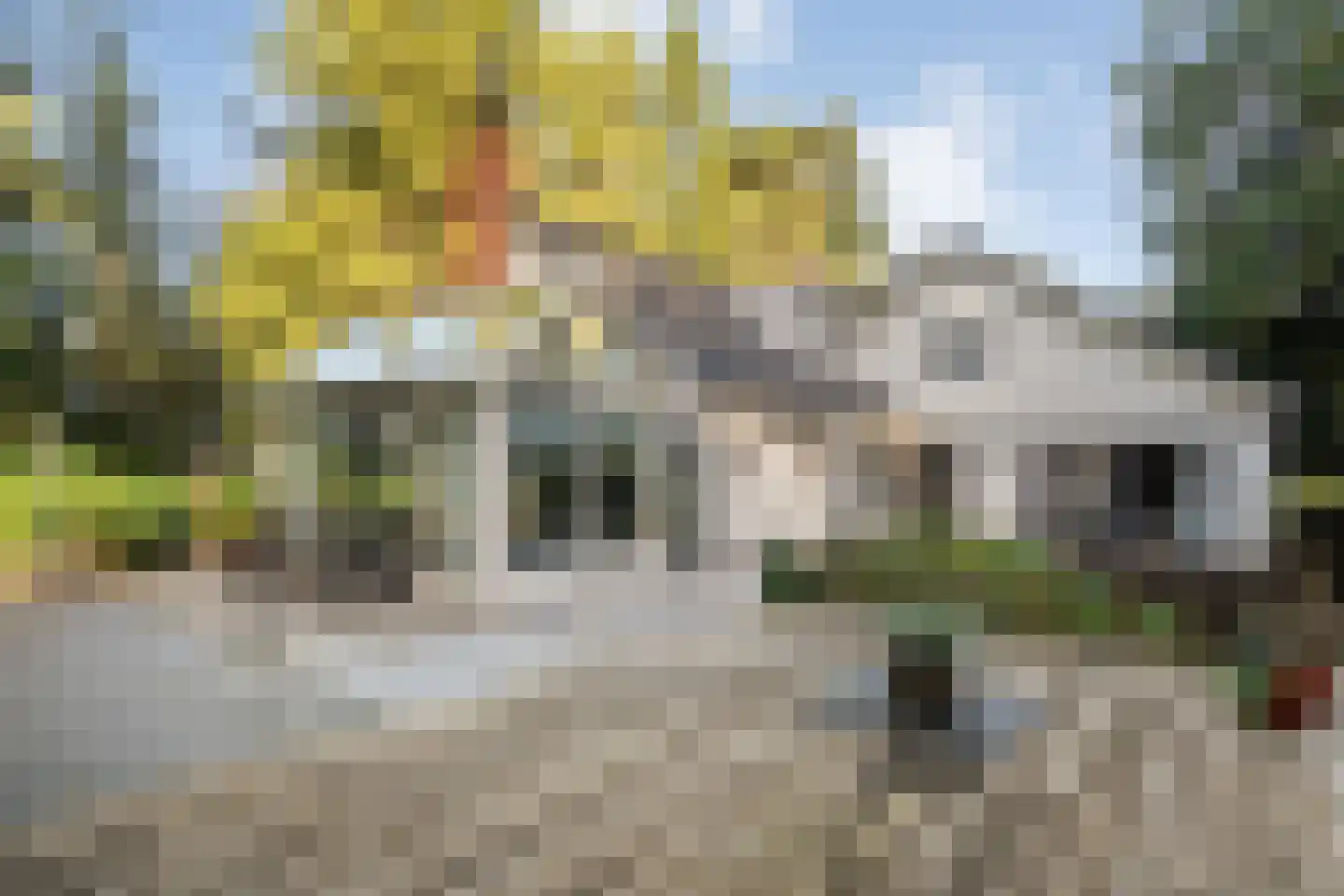 Wolfskuillaan 19 Ommen thumbnail 4