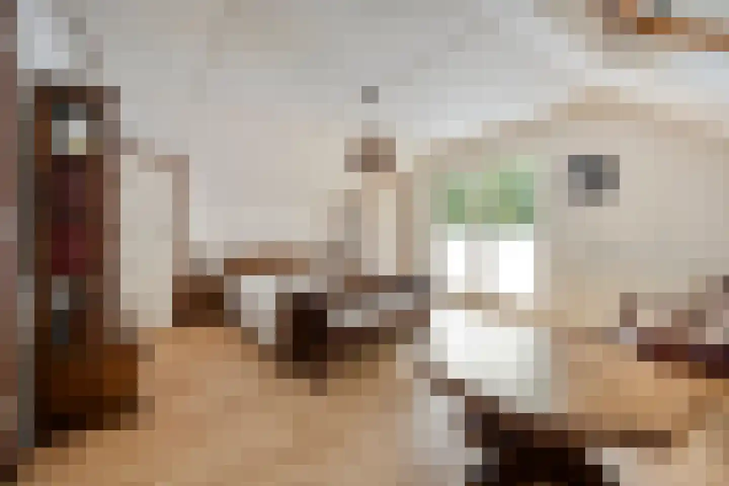 Wolfskuillaan 19 Ommen thumbnail 50