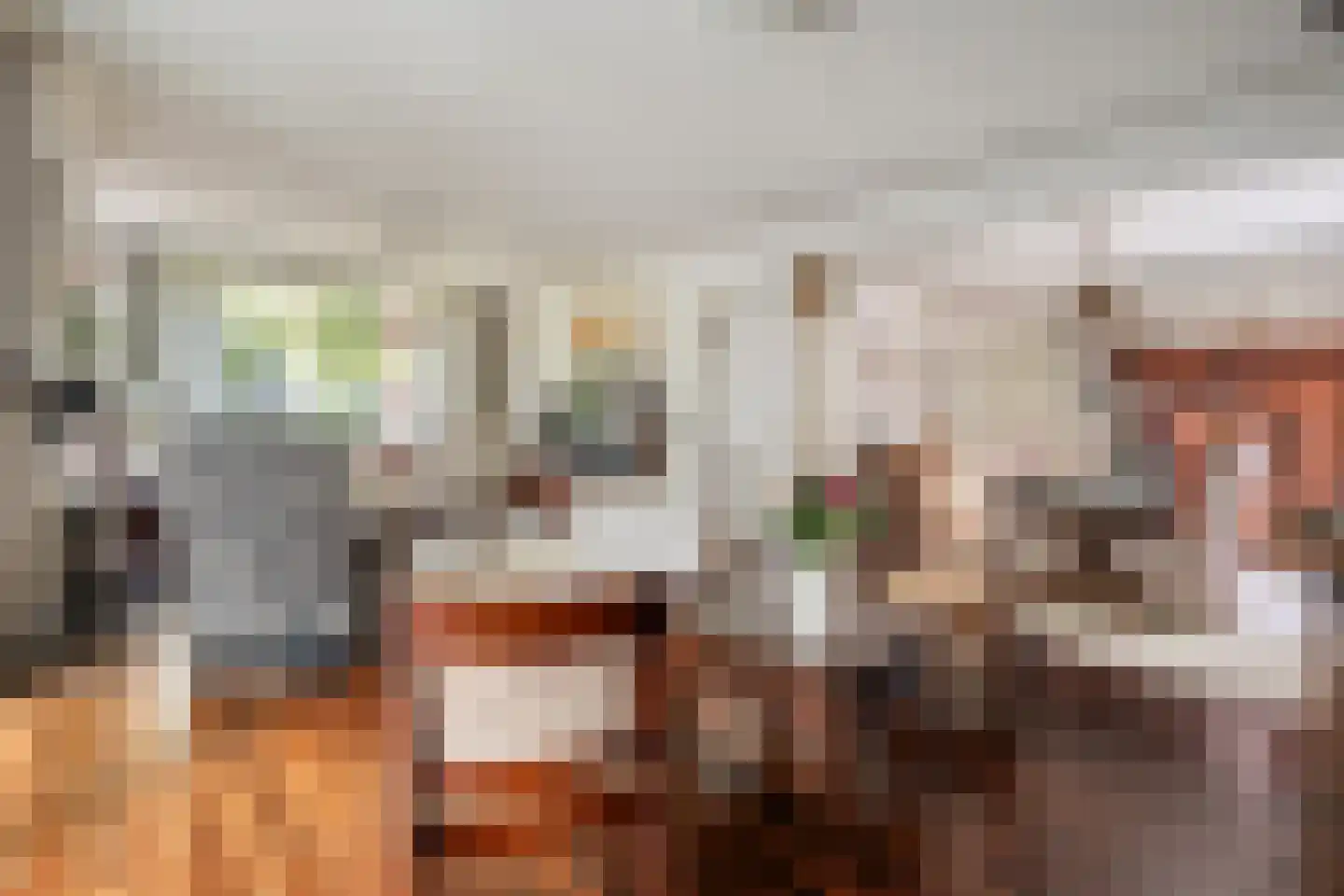 Wolfskuillaan 19 Ommen thumbnail 6