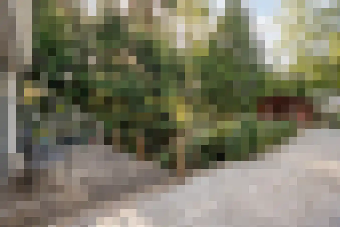 Wolfskuillaan 19 Ommen thumbnail 7