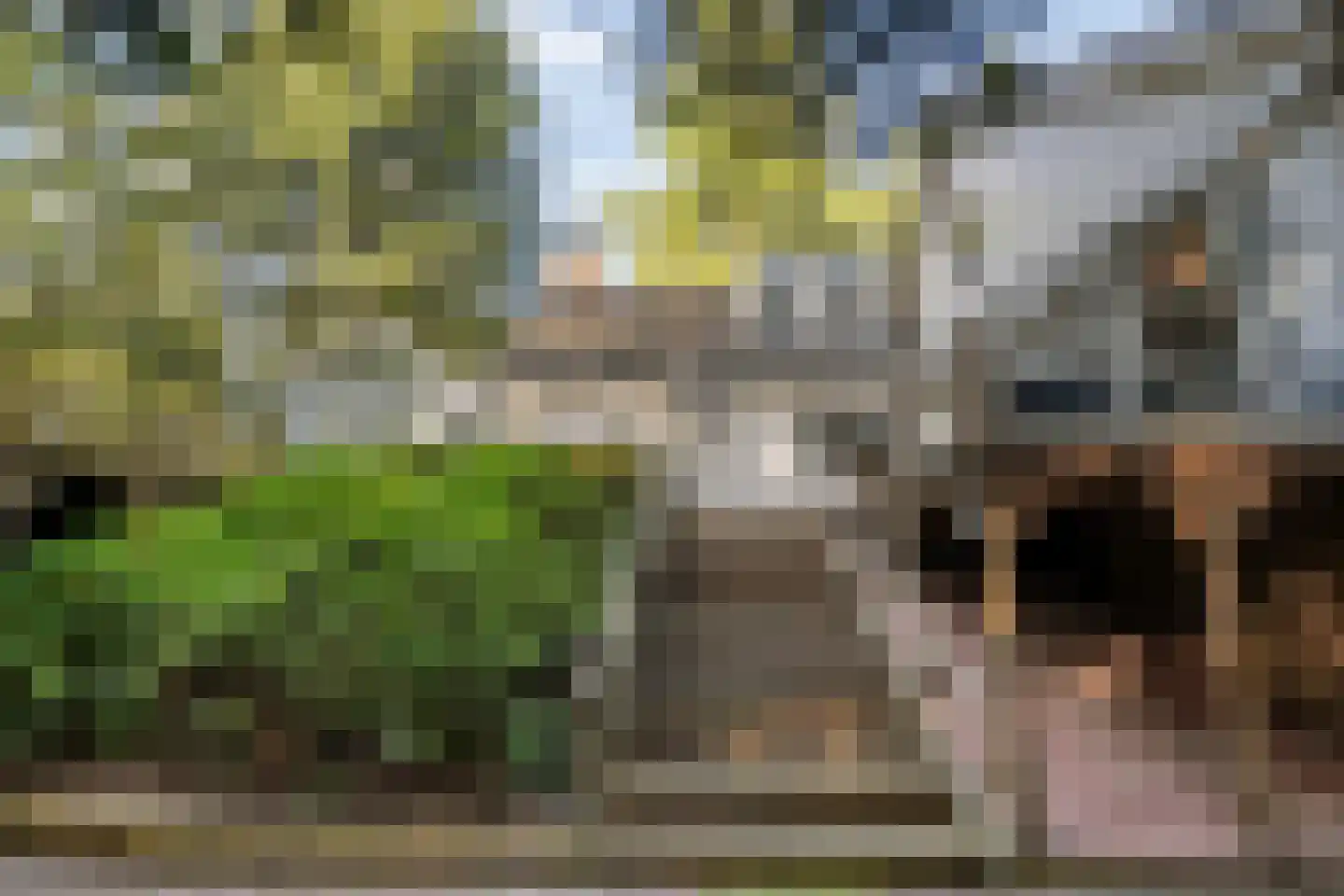 Wolfskuillaan 19 Ommen thumbnail 75