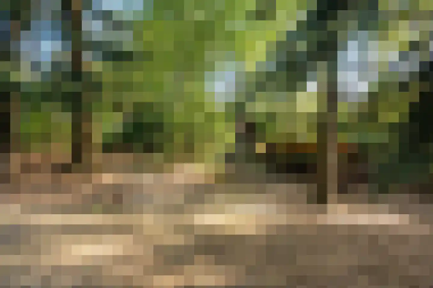 Wolfskuillaan 19 Ommen thumbnail 80
