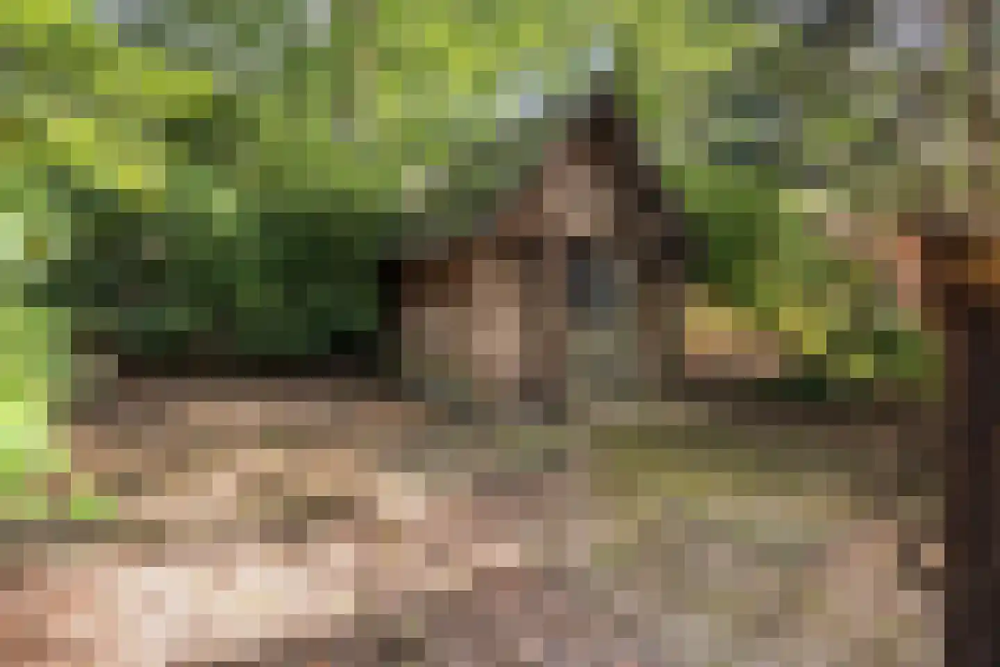 Wolfskuillaan 19 Ommen thumbnail 82