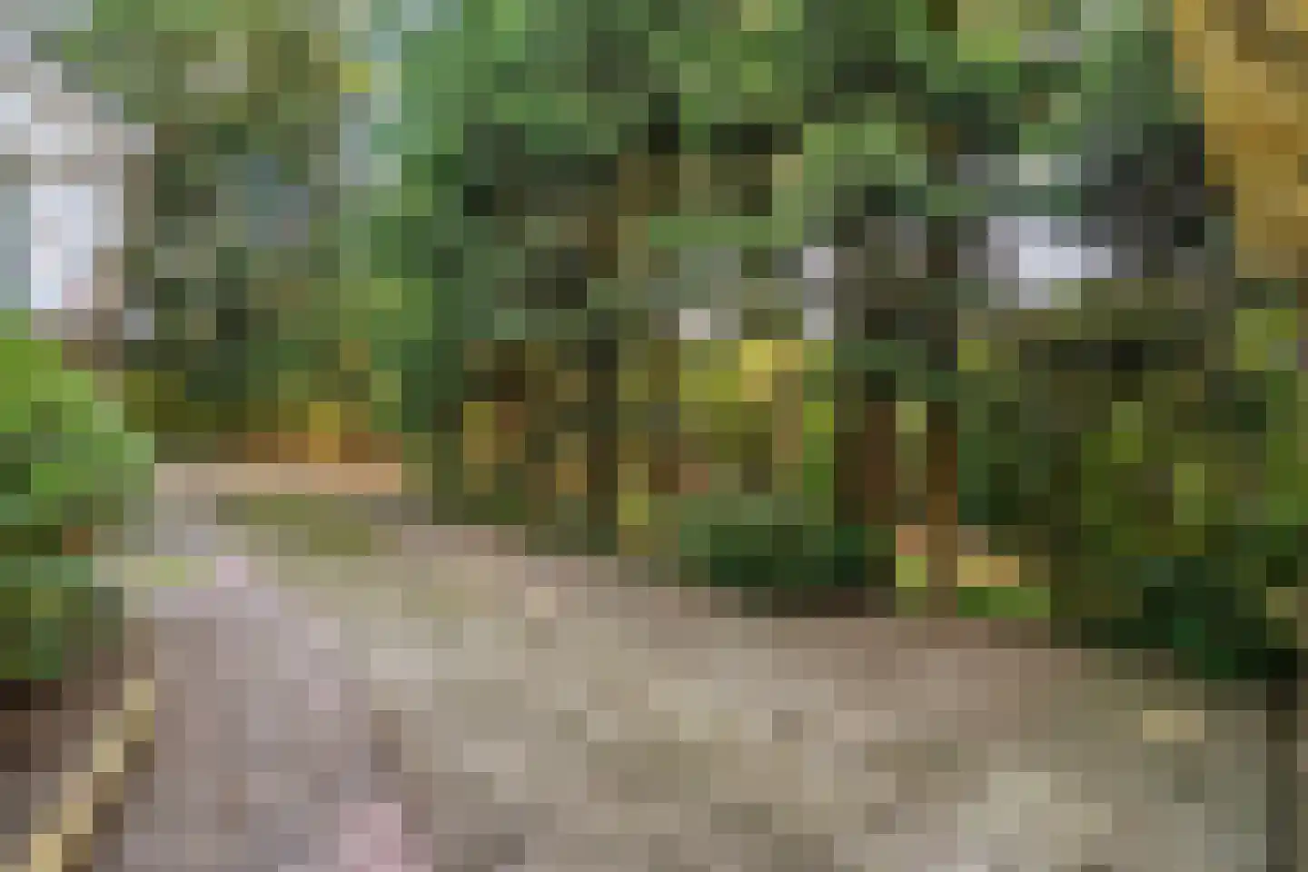 Wolfskuillaan 19 Ommen thumbnail 83