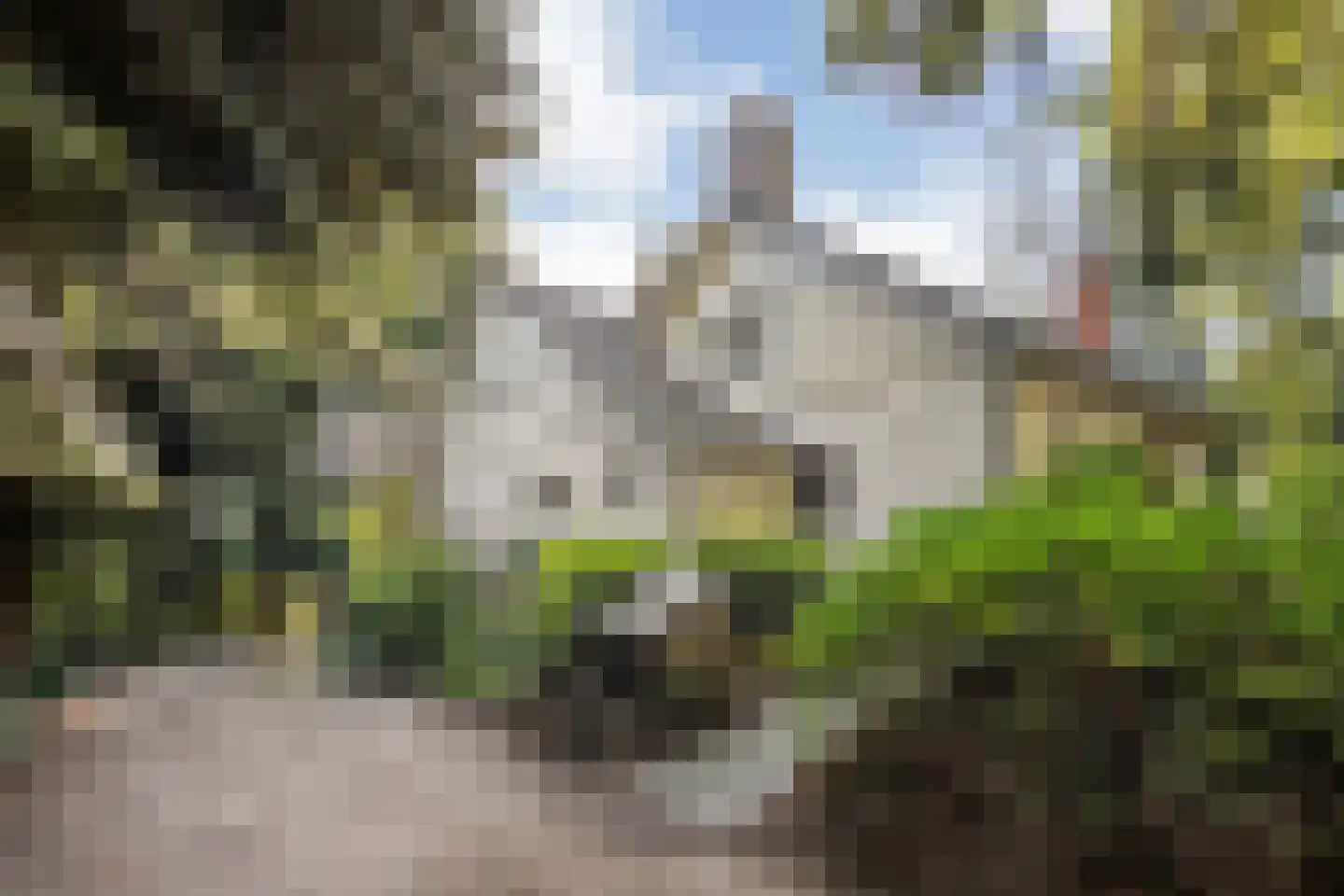 Wolfskuillaan 19 Ommen thumbnail 86