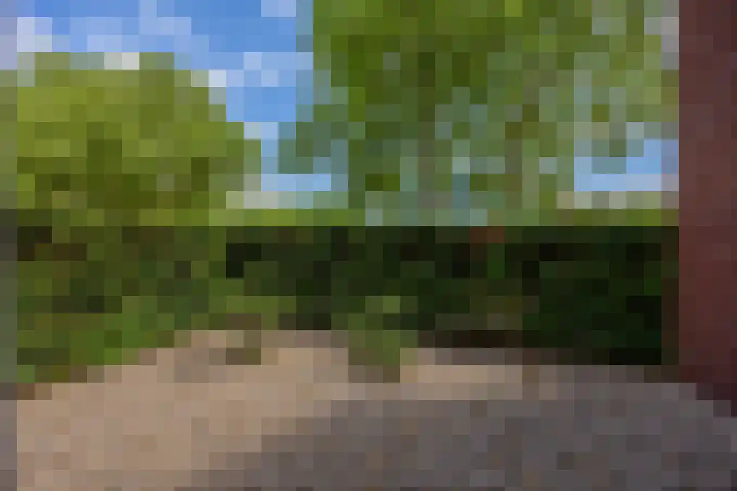 Wolfskuilseweg 16 Nijmegen thumbnail 21