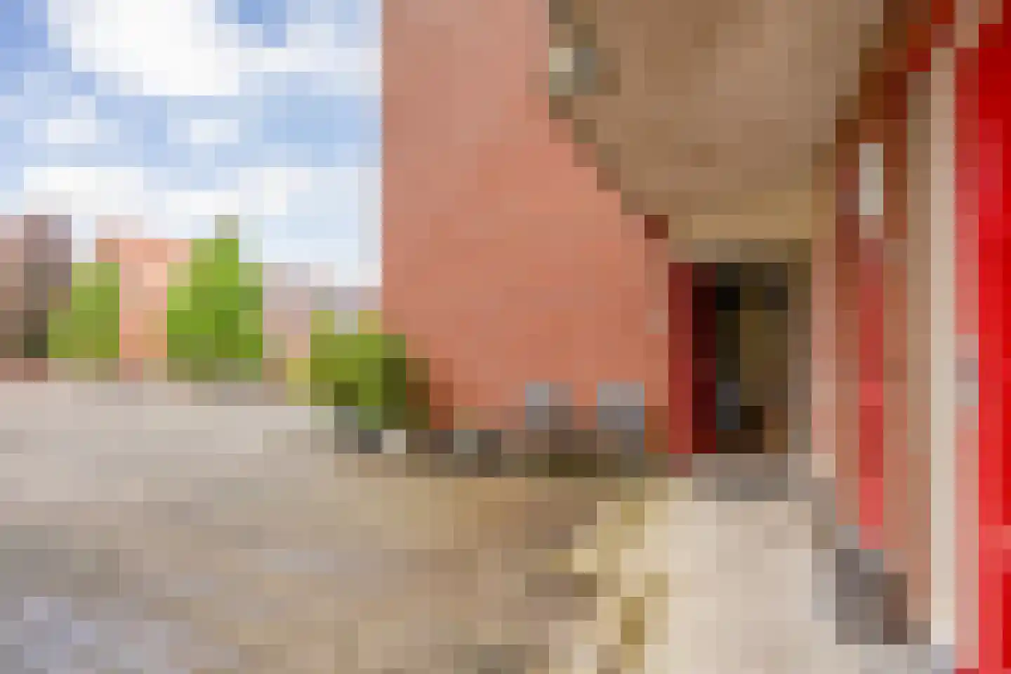 Wolfskuilseweg 16 Nijmegen thumbnail 4