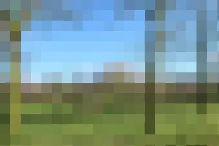 Wolfskuilseweg 179 Nijmegen thumbnail 43