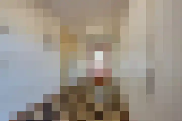 Wolfskuilseweg 18 B Nijmegen thumbnail 6