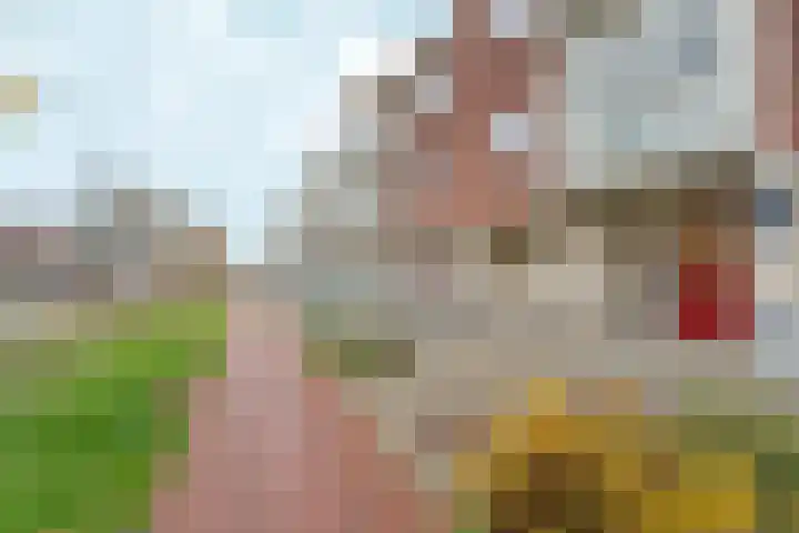 Wolfskuilseweg 24 A Nijmegen thumbnail 4