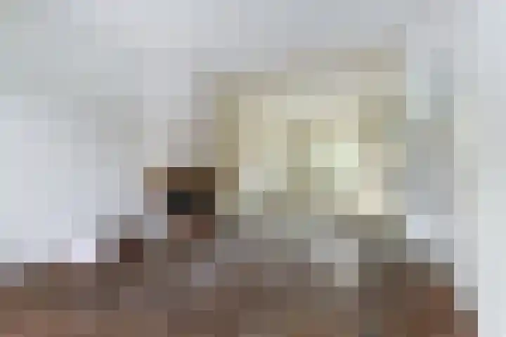 Wolfskuilseweg 7 Nijmegen thumbnail 10