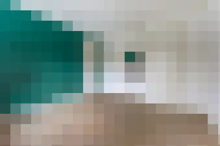 Wolfskuilseweg 7 Nijmegen thumbnail 33
