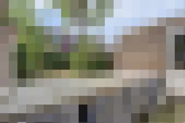 Wolfskuilseweg 7 Nijmegen thumbnail 4