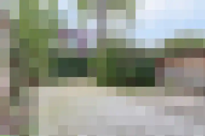 Wolfskuilseweg 7 Nijmegen thumbnail 50