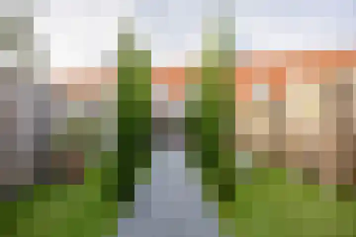Wolfskuilseweg 70 Nijmegen thumbnail 37