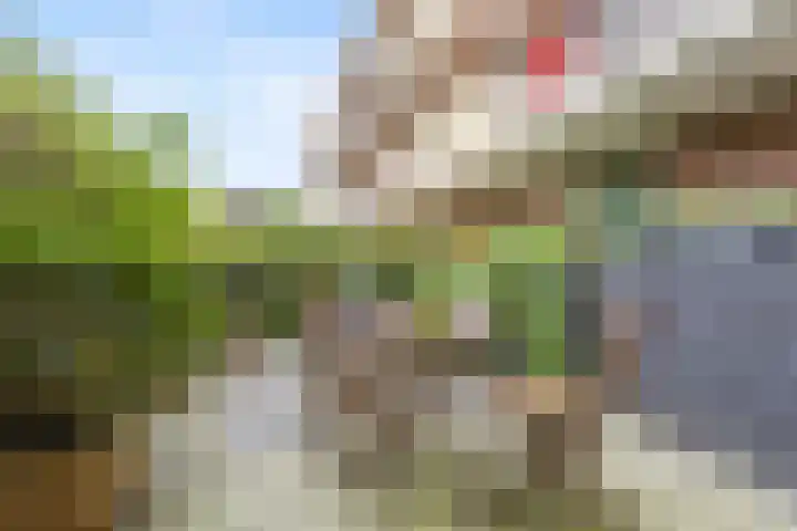 Wolfskuilseweg 82 C Nijmegen thumbnail 16