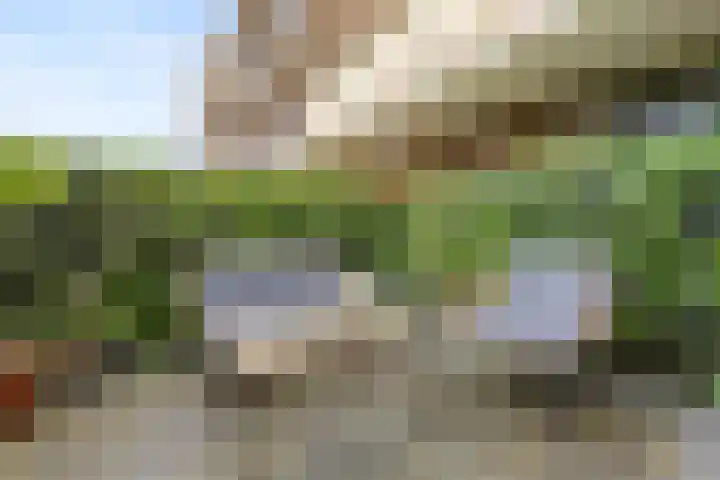Wolfskuilseweg 82 C Nijmegen thumbnail 17