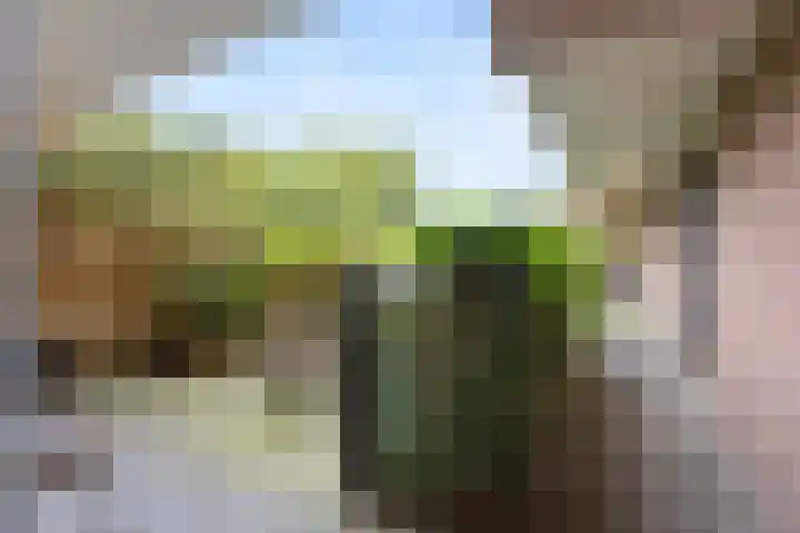 Wolfskuilseweg 82 C Nijmegen thumbnail 18