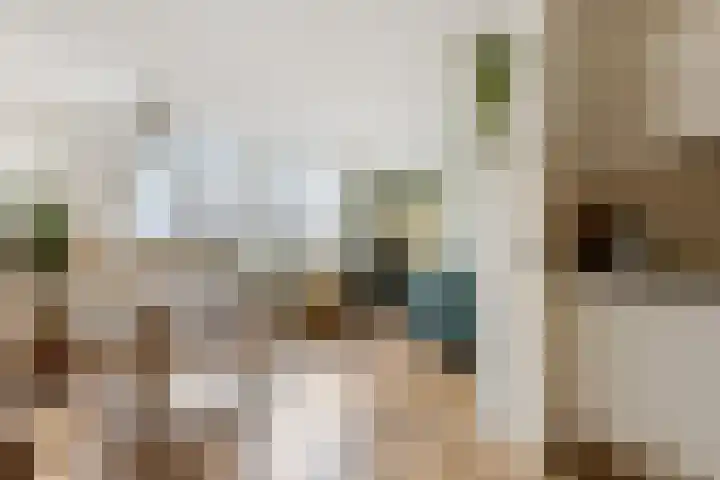 Wolfskuilseweg 82 C Nijmegen thumbnail 7