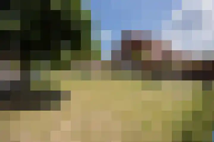 Wolfskuilseweg 84 F Nijmegen thumbnail 19