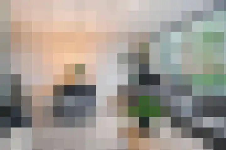 Wolfskuilseweg 86 D Nijmegen thumbnail 19