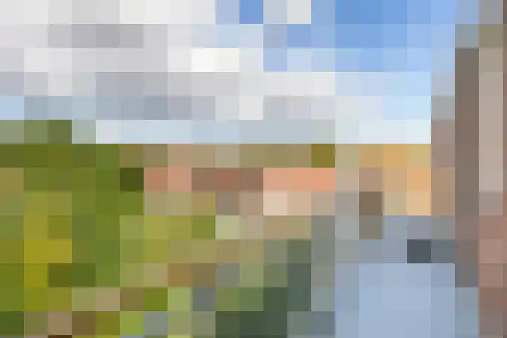 Wolfskuilseweg 88 D Nijmegen thumbnail 11