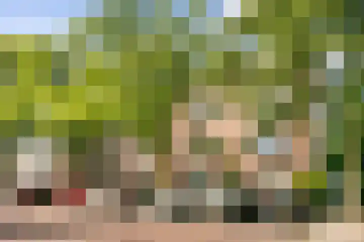 Wolfskuilseweg 88 D Nijmegen thumbnail 15