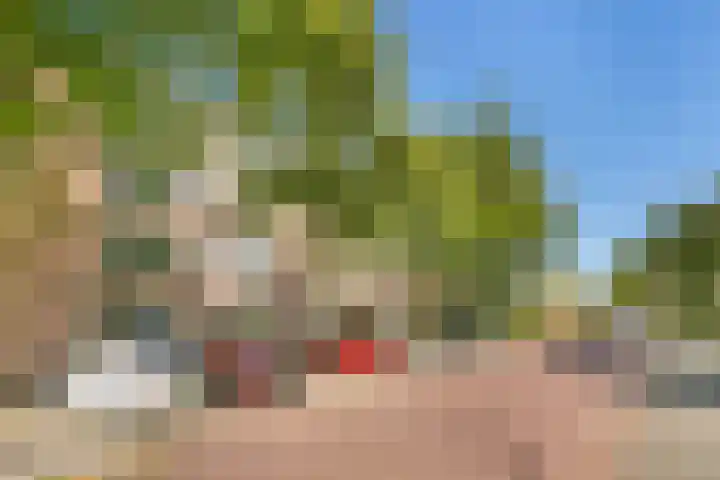 Wolfskuilseweg 88 D Nijmegen thumbnail 17