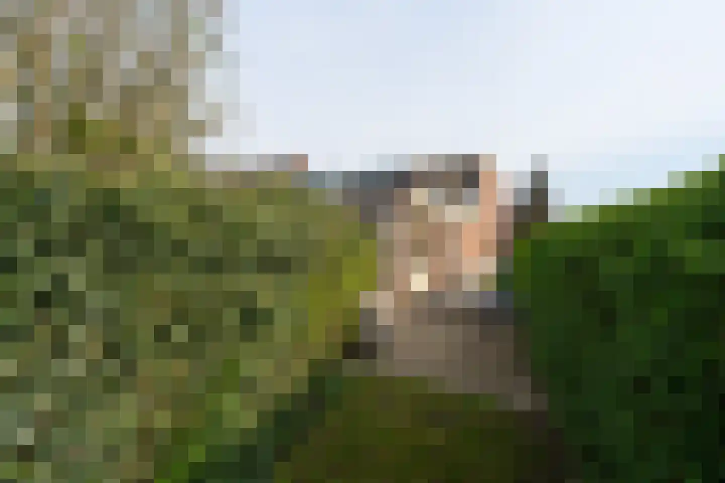Wolfskuilseweg 93 Nijmegen thumbnail 31