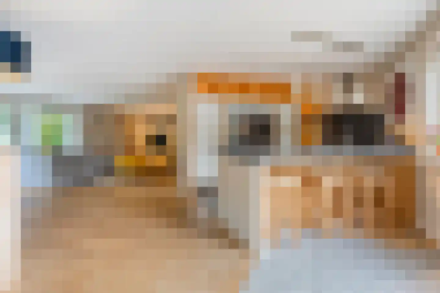 Wolfskuilstraat 10 Ommen thumbnail 10