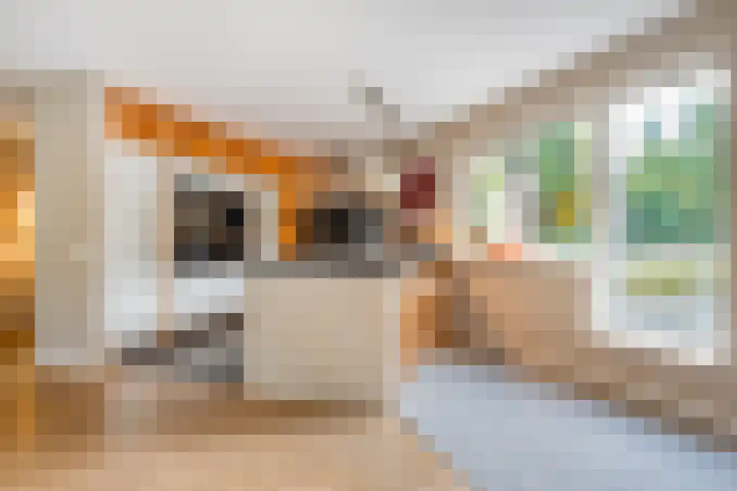 Wolfskuilstraat 10 Ommen thumbnail 11