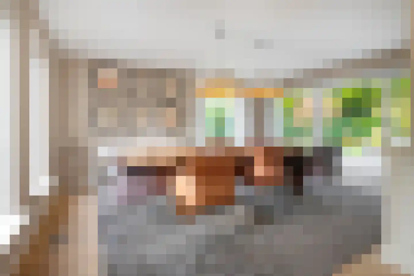 Wolfskuilstraat 10 Ommen thumbnail 13