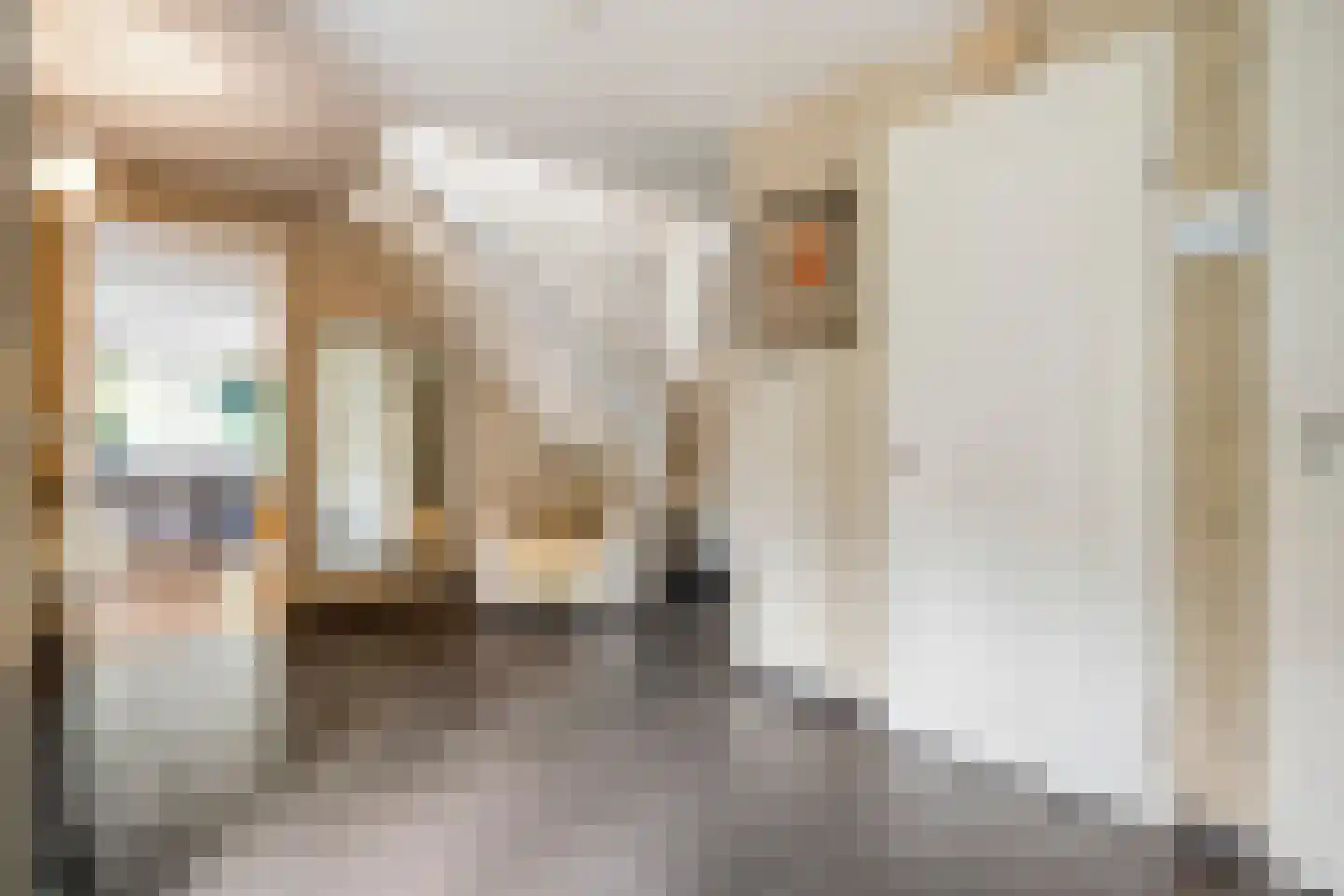 Wolfskuilstraat 10 Ommen thumbnail 17