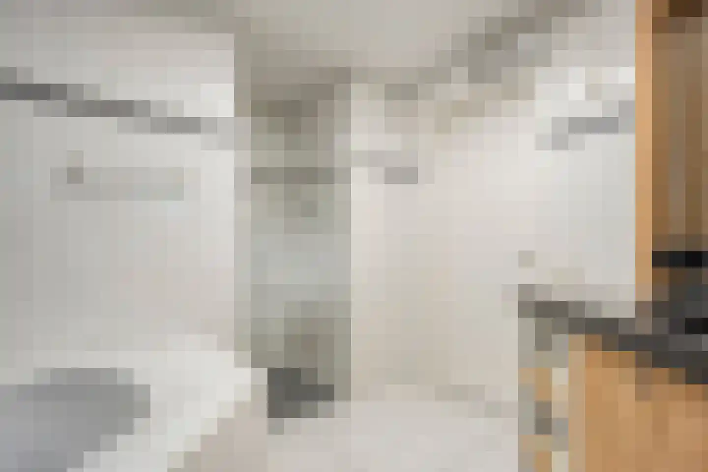 Wolfskuilstraat 10 Ommen thumbnail 21