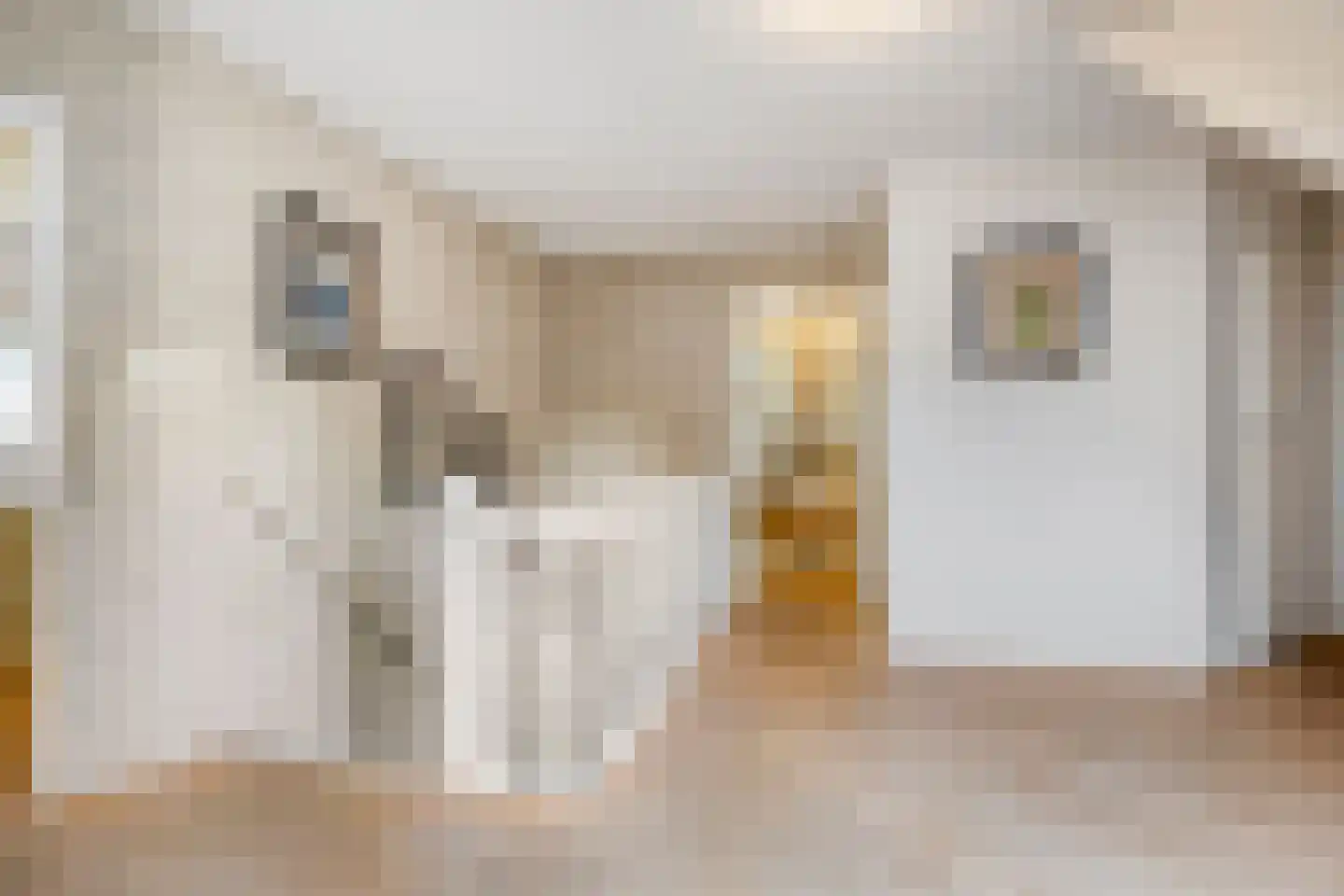 Wolfskuilstraat 10 Ommen thumbnail 26