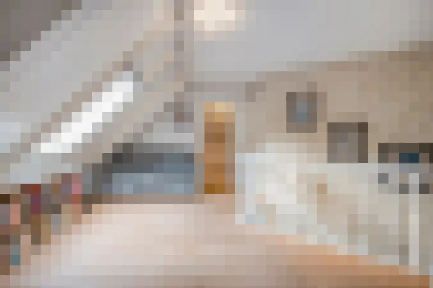 Wolfskuilstraat 10 Ommen thumbnail 27