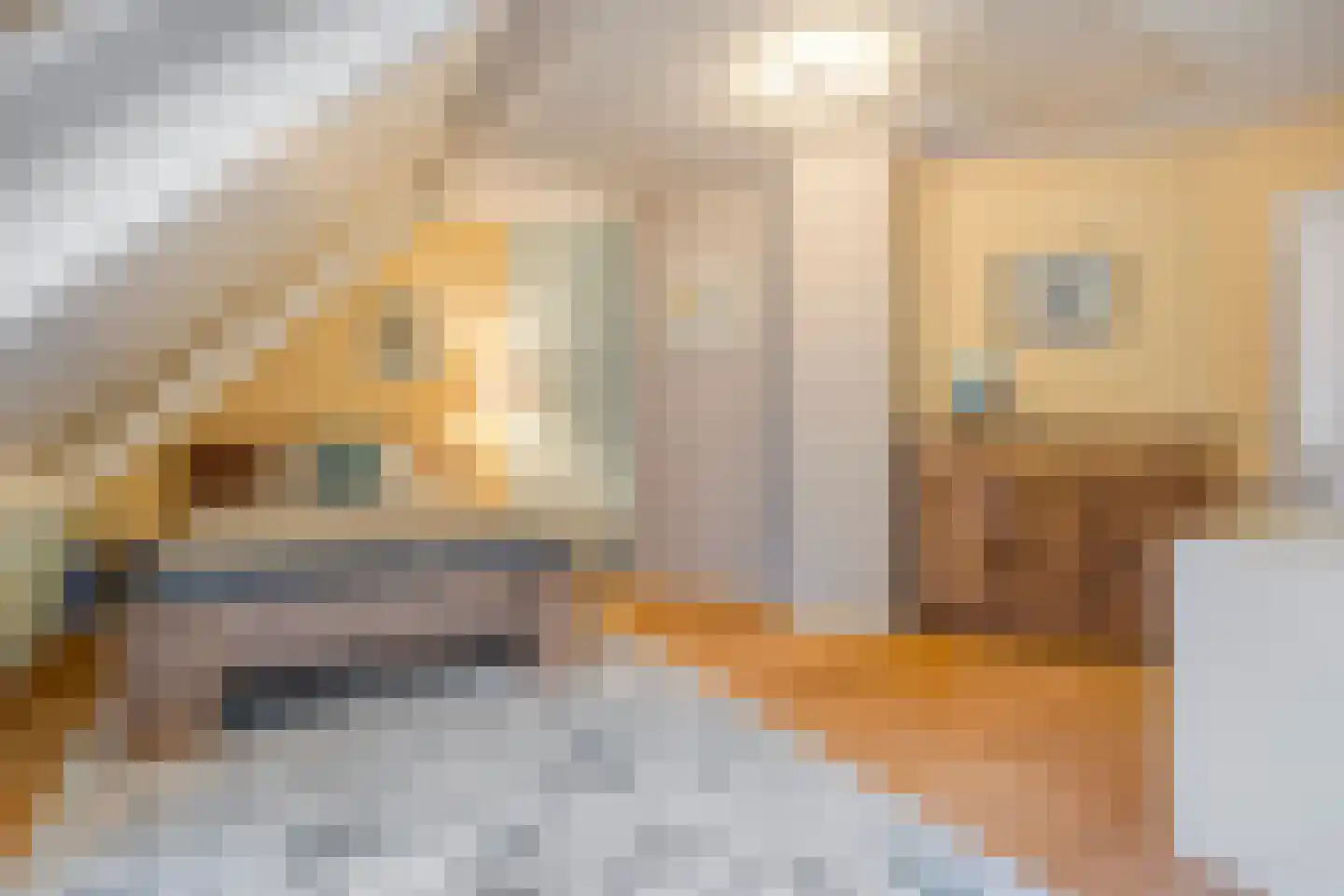 Wolfskuilstraat 10 Ommen thumbnail 28
