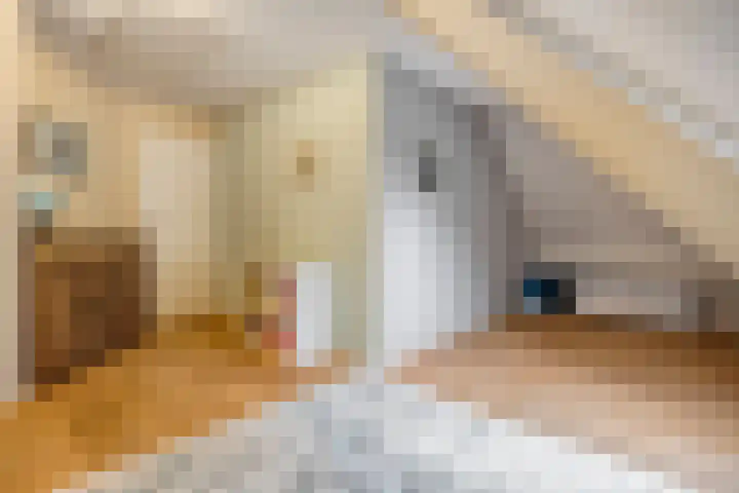 Wolfskuilstraat 10 Ommen thumbnail 29