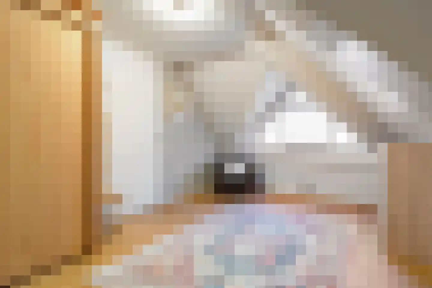 Wolfskuilstraat 10 Ommen thumbnail 31