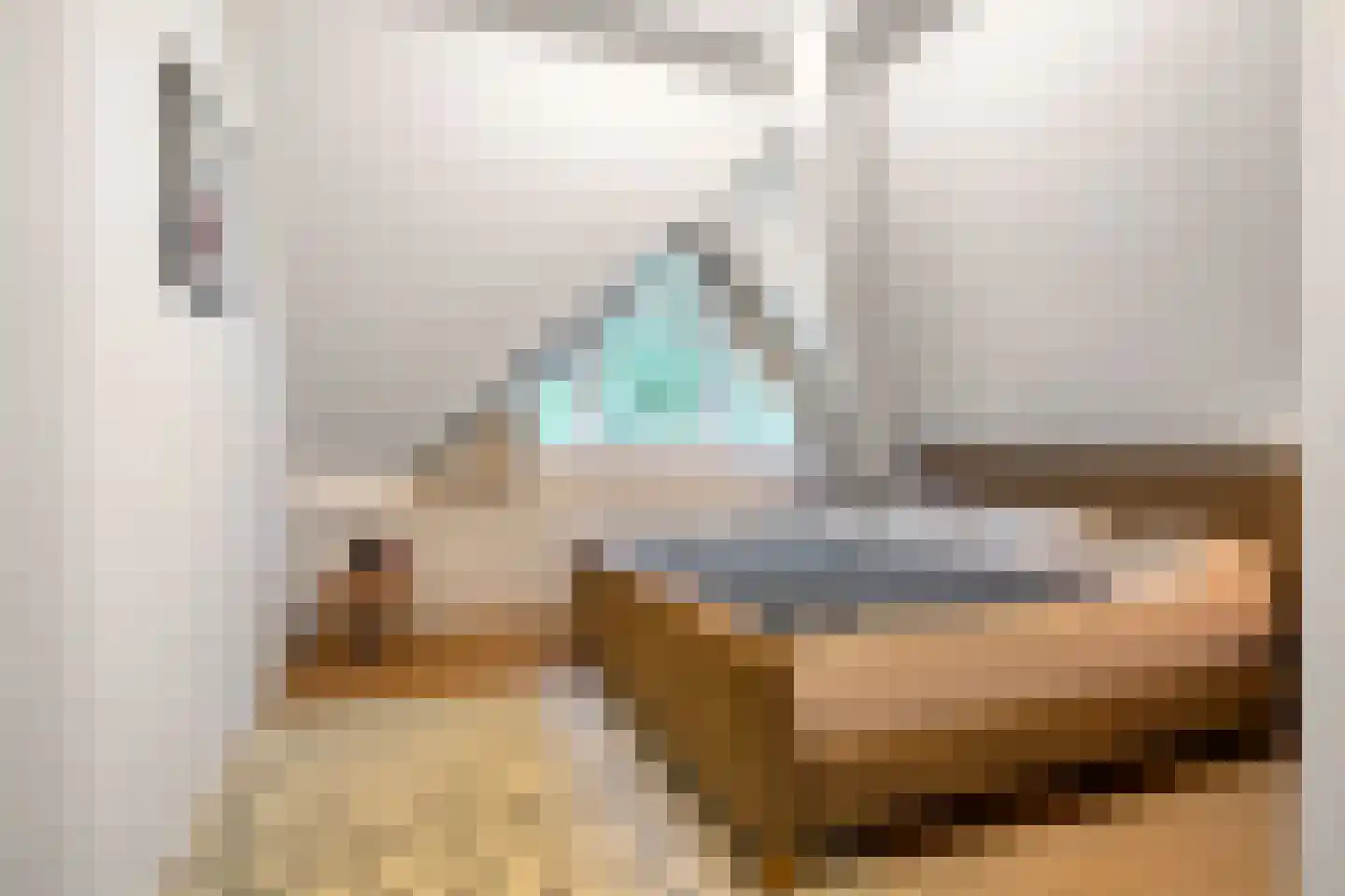 Wolfskuilstraat 10 Ommen thumbnail 32